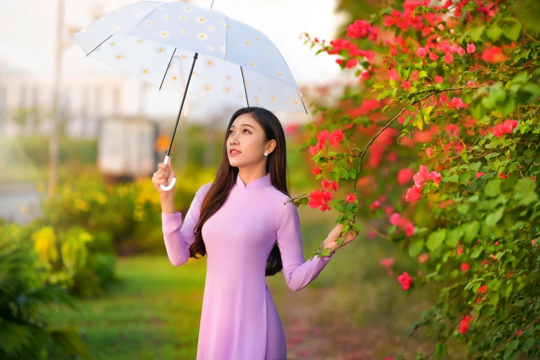 a woman in a purple dress holding an umbrella, inspired by Cui Bai, pexels contest winner, background image, vietnam, spring season, beauty girl