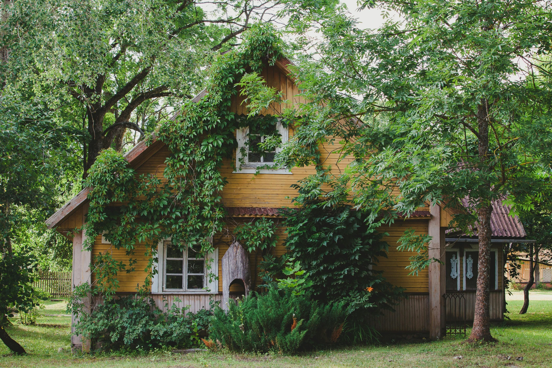 a house sitting in the middle of a lush green forest, by Maksimilijan Vanka, pexels contest winner, arts and crafts movement, midsommar style, yellowed with age, exterior view, фото девушка курит