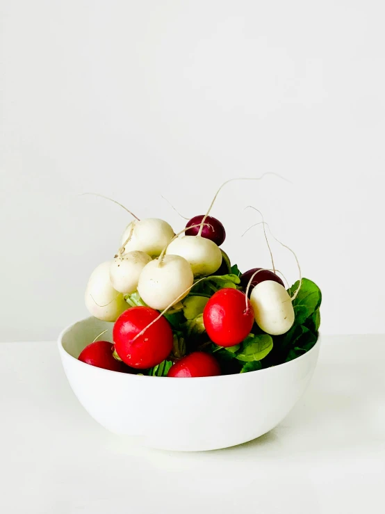 a white bowl filled with red and white radishes, unsplash, photorealism, lots of mozzarella balls, tabletop model, salad, ilustration