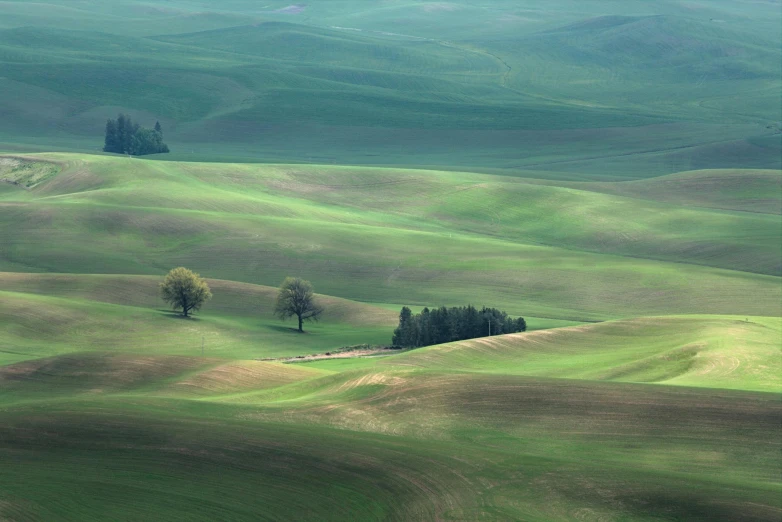 a couple of trees sitting on top of a lush green hillside, by Wojciech Gerson, pexels contest winner, land art, wheat fields, washington, fine art print, oganic rippling spirals