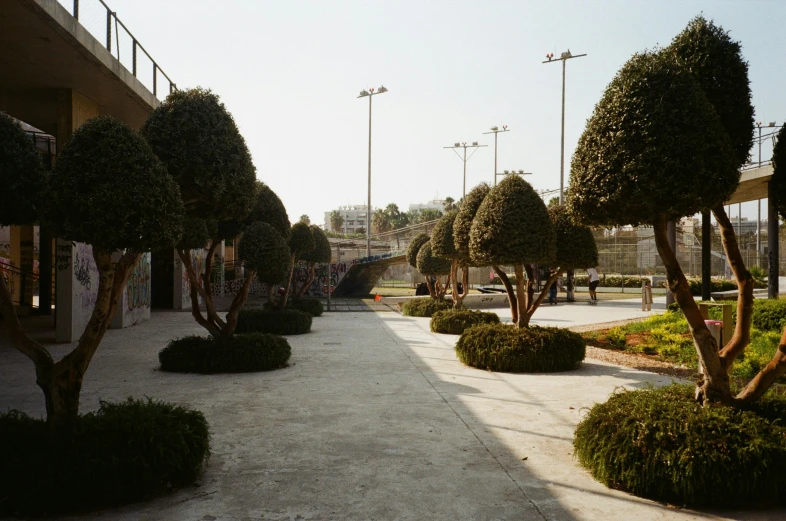 a walkway lined with trees and bushes next to a building, inspired by Thomas Struth, unsplash, hyperrealism, iraq nadar, stadium, 2022 photograph, f 1.4 kodak portra