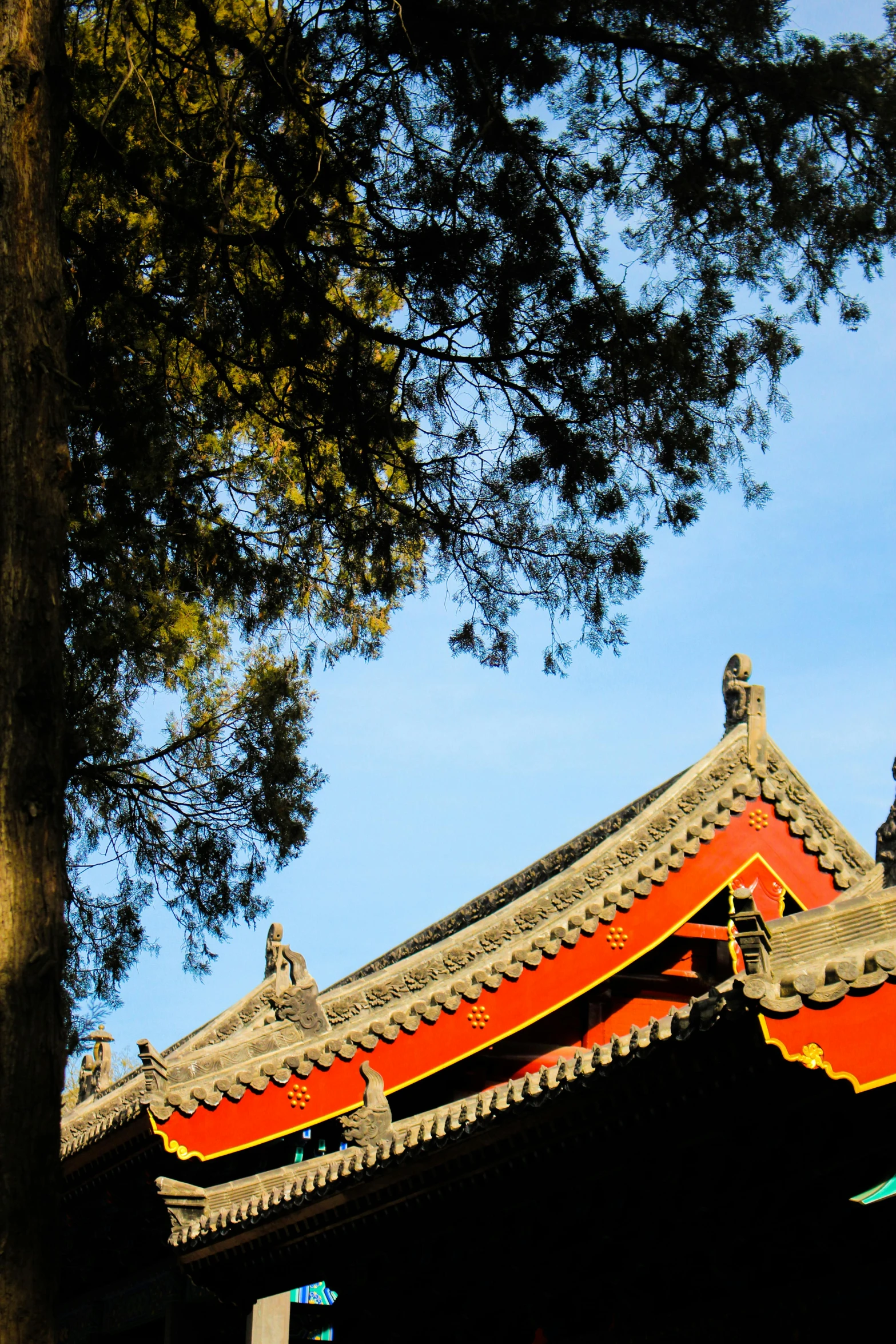 a clock that is on the side of a building, inspired by Luo Mu, baroque, beautiful ancient trees, slide show, rounded roof, sunny sky