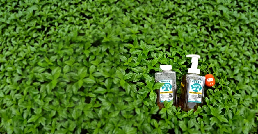 a couple of bottles sitting on top of a lush green field, next to a plant, clear clean face, fresh basil, ap photo