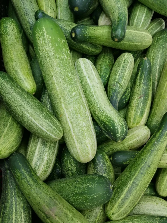 a pile of cucumbers sitting on top of each other, pexels, 🌸 🌼 💮, 15081959 21121991 01012000 4k, rectangle, 8 k )