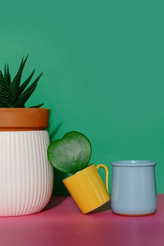 a couple of cups sitting next to a potted plant, solid coloured shapes, ecommerce photograph, multi - coloured, objects