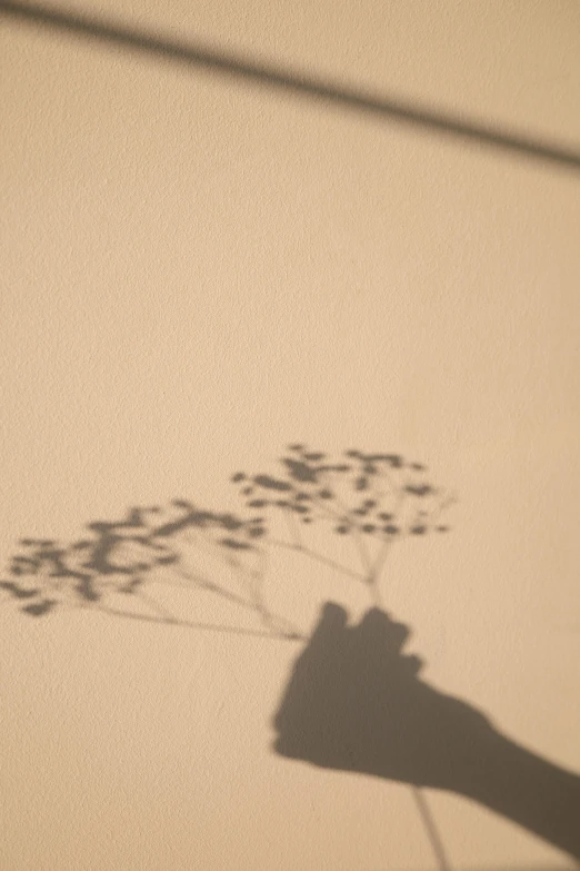 a shadow of a person holding a bunch of flowers, photography], papercut, brown, soft light - n 9