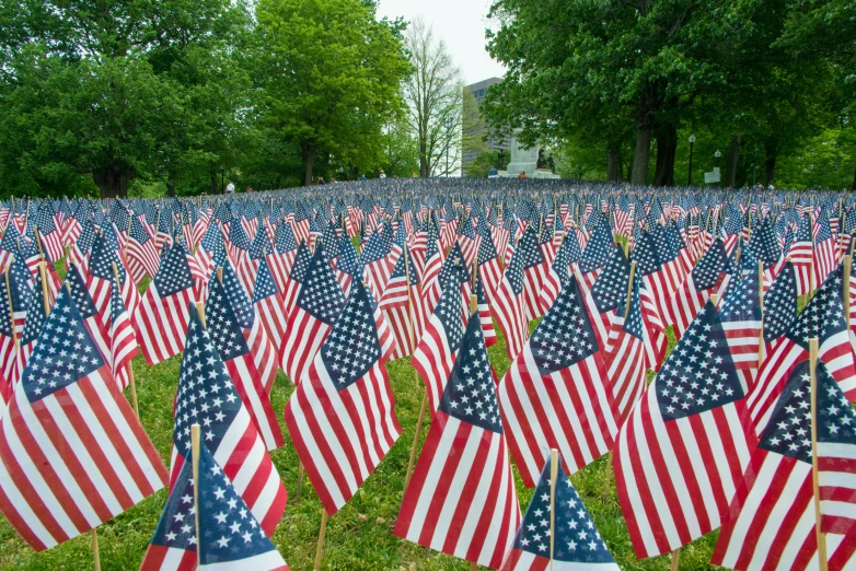 a field of american flags with trees in the background, a picture, iu, rectangle, ground broken, multilayer