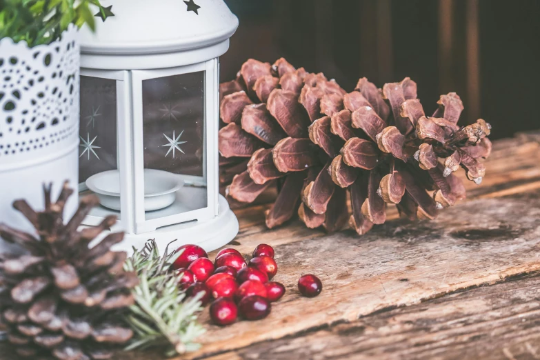 a white lantern sitting on top of a wooden table, a still life, inspired by Ernest William Christmas, trending on unsplash, pinecone, crimson themed, festive, background image