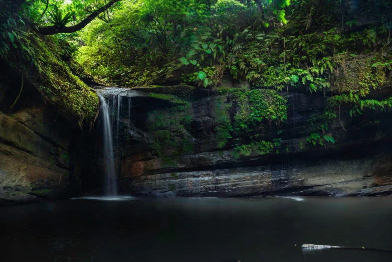 a waterfall in the middle of a lush green forest, an album cover, pexels contest winner, sumatraism, rock pools, panoramic shot, te pae, shipibo