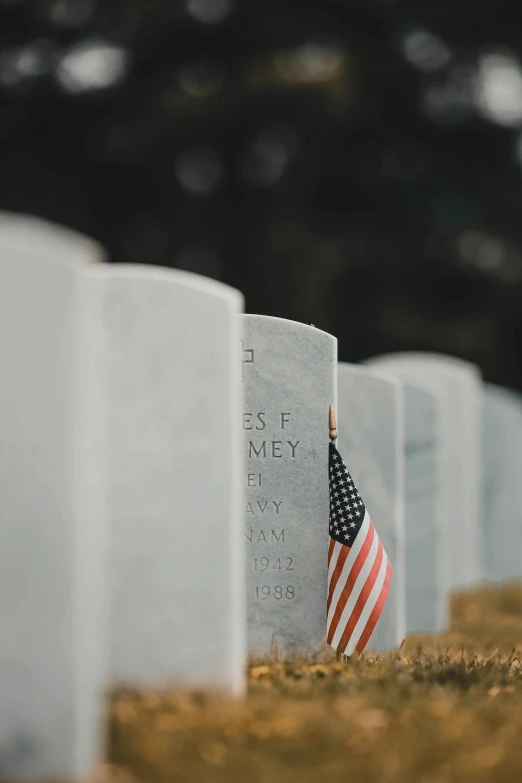 a row of headstones with american flags on them, a picture, unsplash, digital art, a labeled, skeleton, sergeant, resting