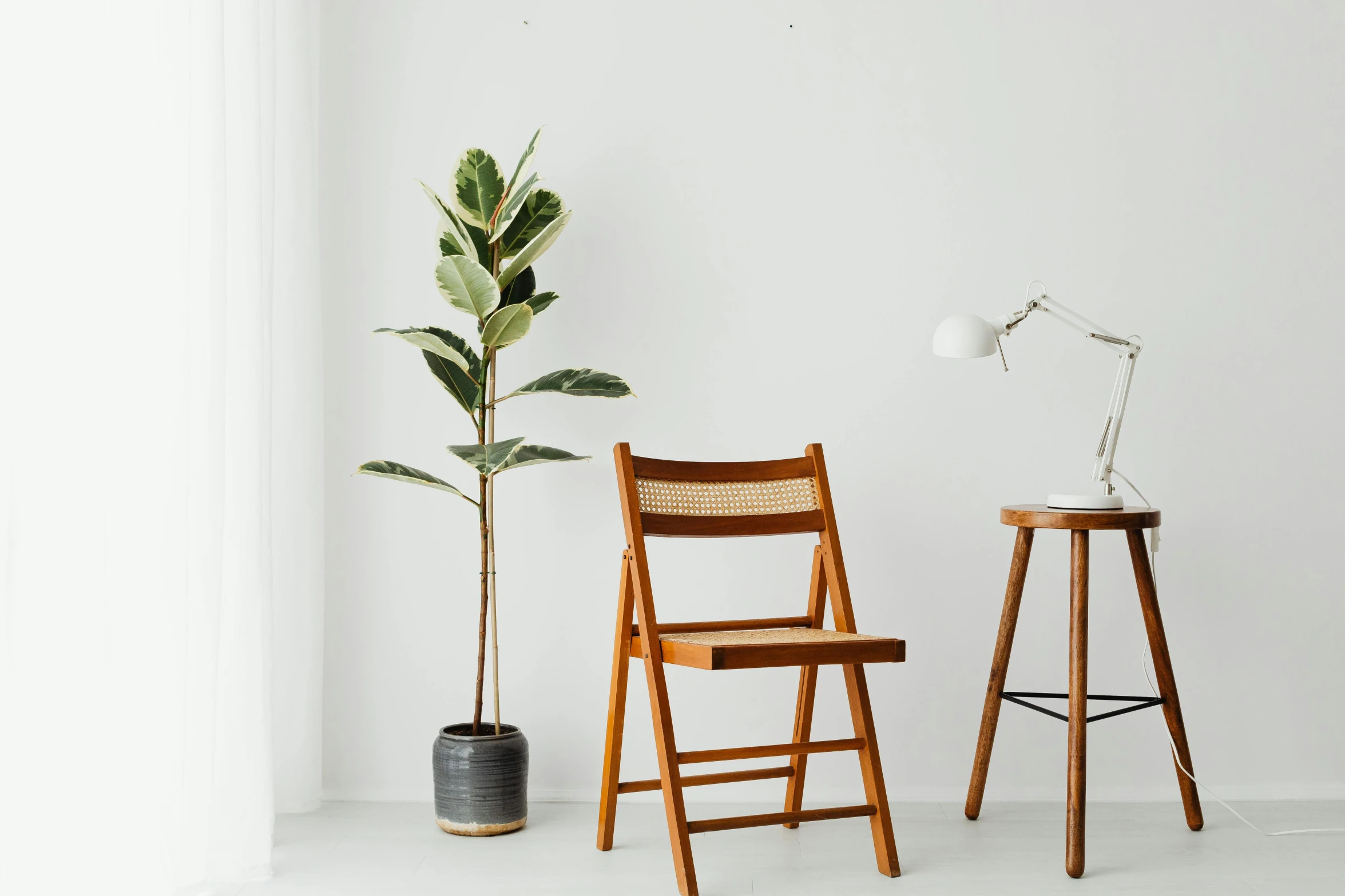 two wooden chairs next to a plant in a white room, trending on unsplash, with a tall tree, product view, background image, fully posable