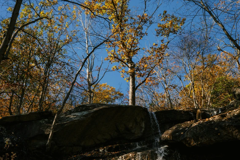 a waterfall in the middle of a wooded area, by Andrew Domachowski, unsplash, visual art, blue sky, in fall, tall broad oaks, ignant