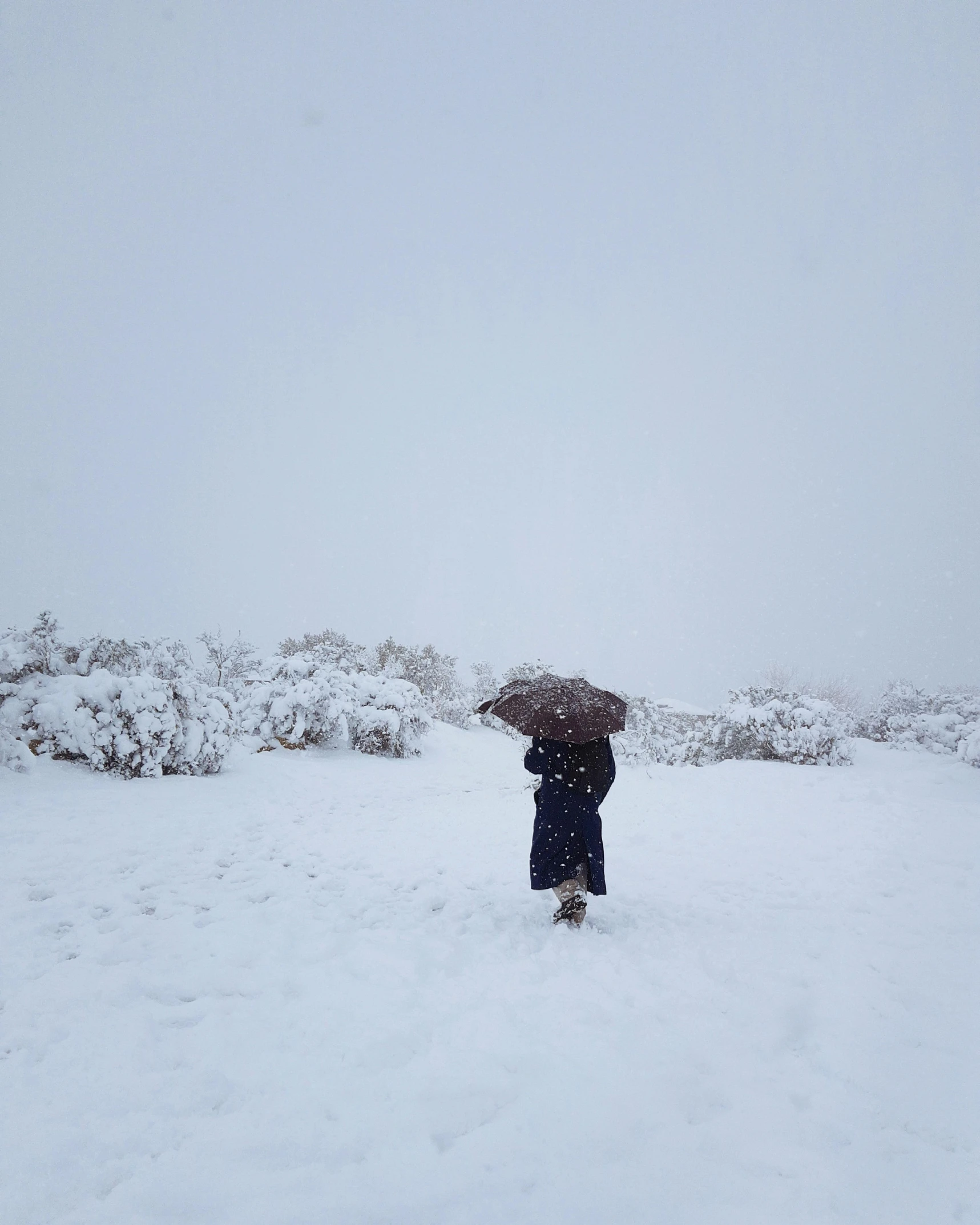 a person standing in the snow with an umbrella, by Lucia Peka, unsplash contest winner, land art, ☁🌪🌙👩🏾, in karuizawa, white in color, annie liebowitz