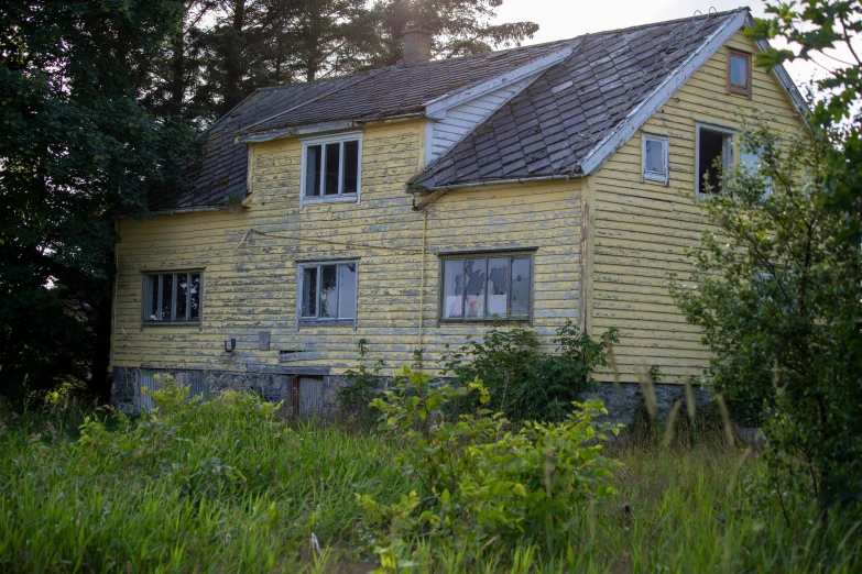 a yellow house sitting in the middle of a forest, an album cover, unsplash, photo of poor condition, white plank siding, espoo, an abandoned old