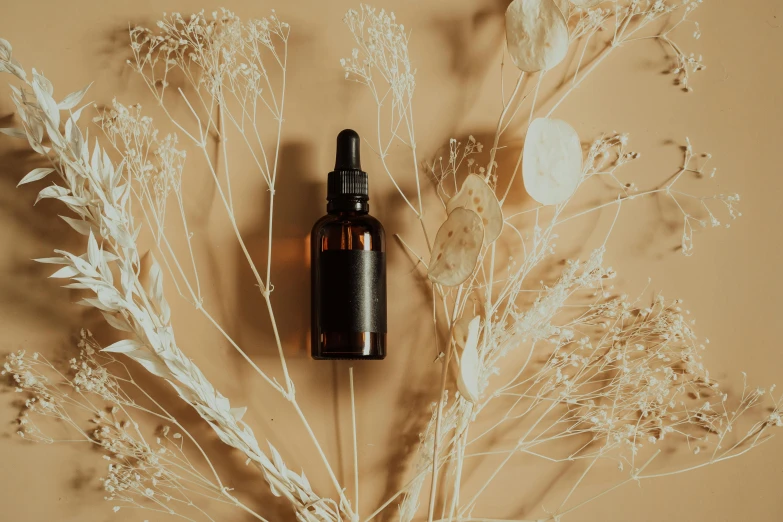 a bottle of essential oil sitting on a table, by Andries Stock, trending on pexels, aestheticism, black fine lines on warm brown, made of dried flowers, high quality product image”