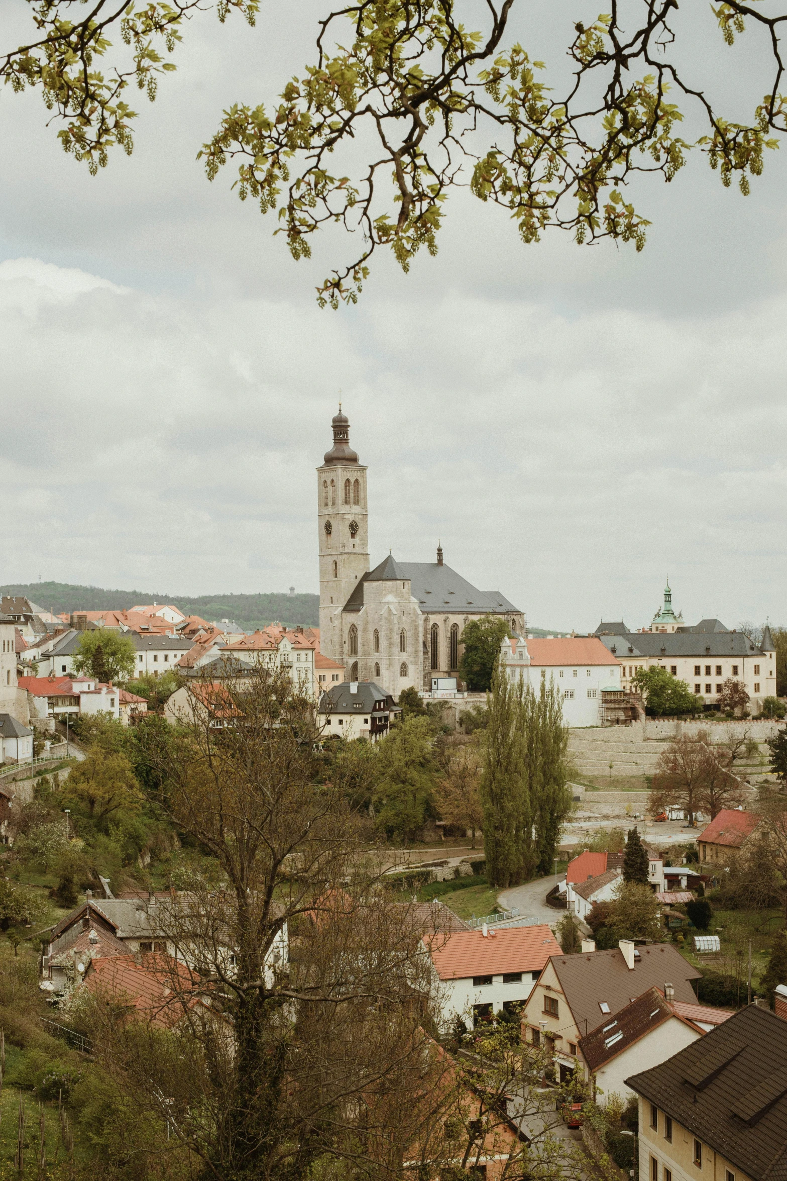 a view of a town from the top of a hill, inspired by Jan Kupecký, pexels contest winner, baroque, white church background, beige, low quality photo, trees in background