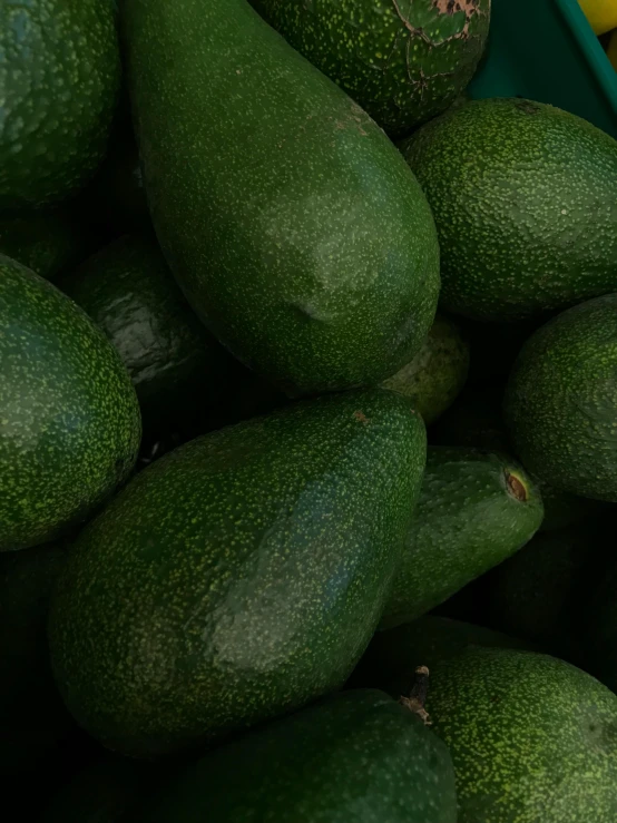 a pile of avocados sitting on top of each other, pexels, hyperrealism, background image, greens)