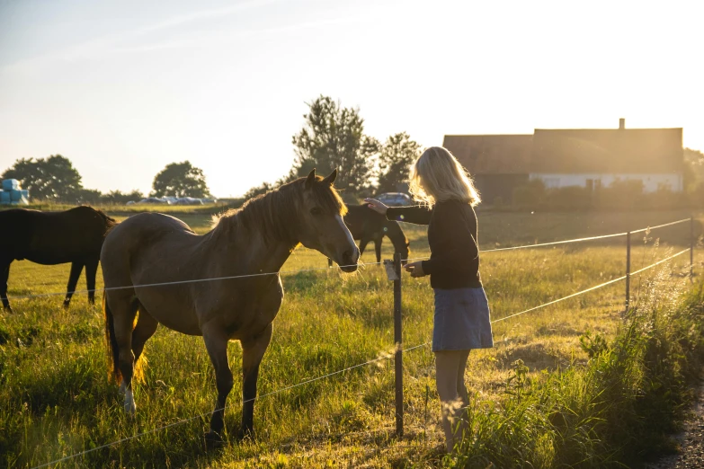 a woman standing next to a horse on a lush green field, by Jan Tengnagel, unsplash, happening, late afternoon sun, of augean stables, having a snack, standing astride a gate