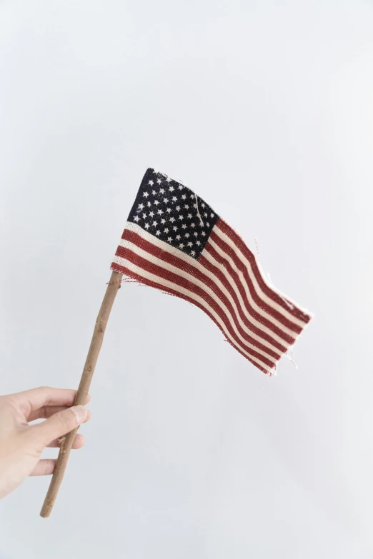 a person holding an american flag on a stick, unsplash, folk art, made of lab tissue, instagram post, without background, 🚿🗝📝