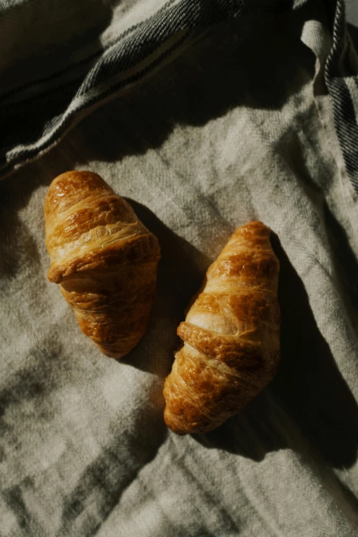 a couple of croissants sitting on top of a blanket, a portrait, by Henriette Grindat, trending on unsplash, medium format. soft light, grain”, sun shining, soft light - n 9