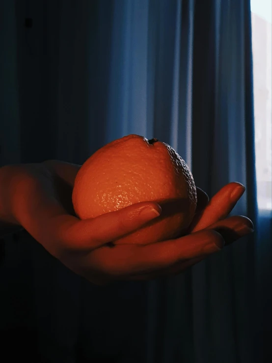 a person holding an orange in their hand, inspired by Elsa Bleda, soft glowing windows, sentient fruit, profile image, nightlight