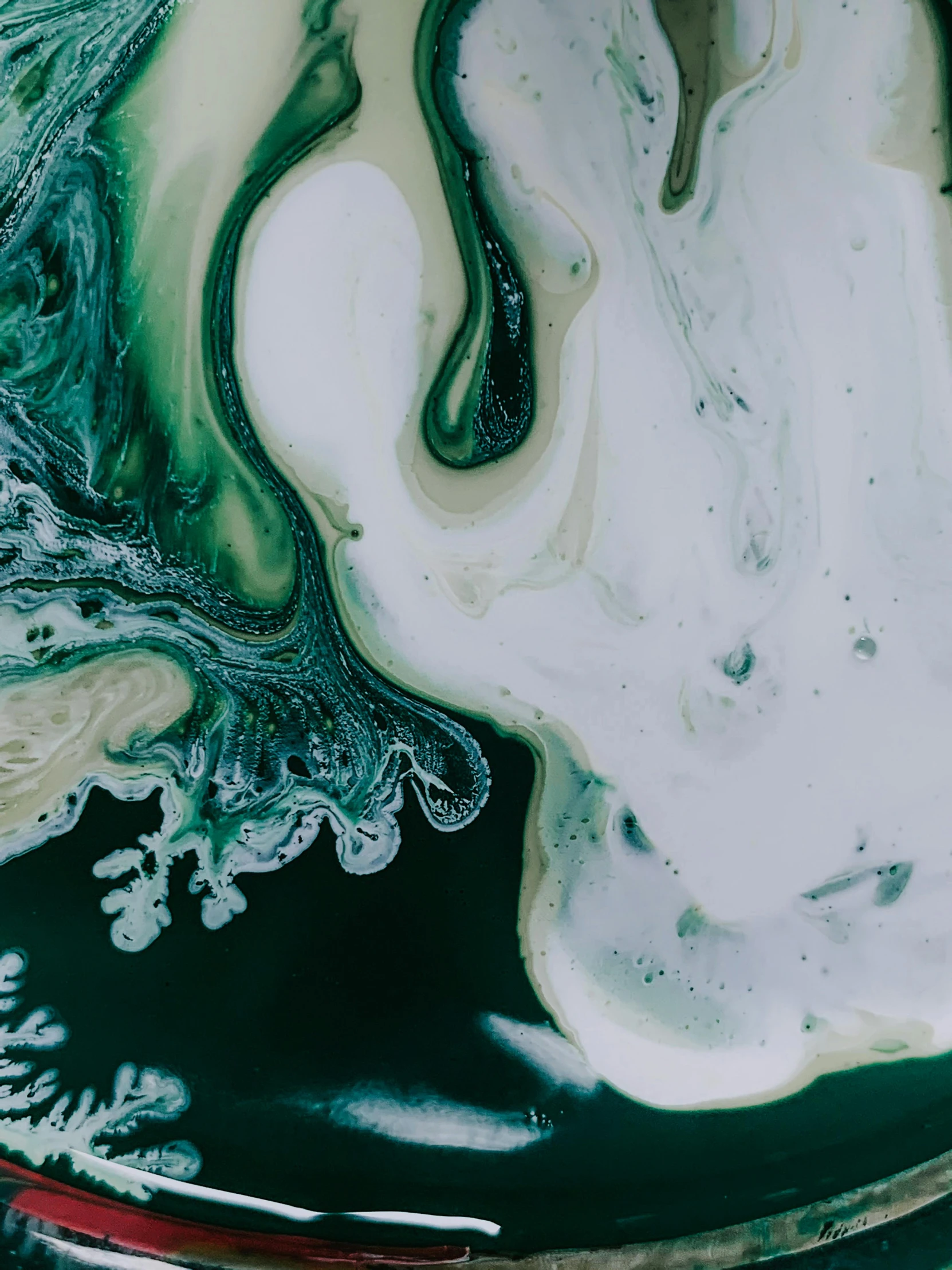 a bowl filled with liquid sitting on top of a table, inspired by Art Green, trending on unsplash, abstract expressionism, green and white, close-up from above, portrait made of paint, ilustration