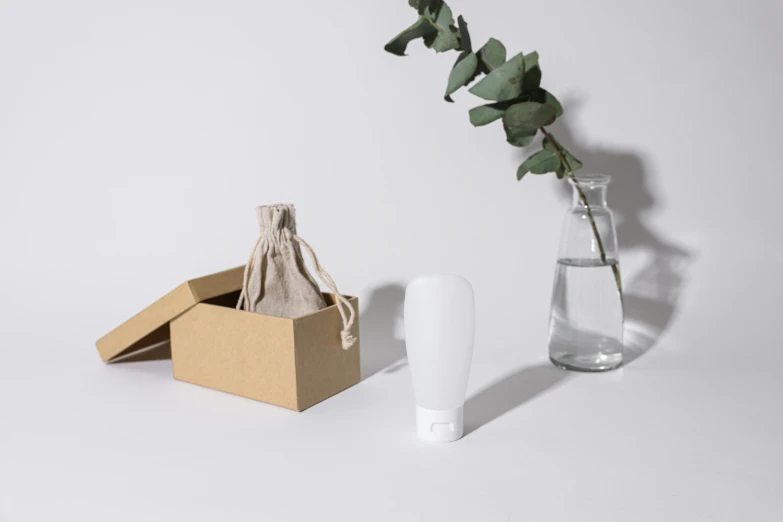 a bottle of water sitting next to a vase with a plant in it, by Eden Box, silicone cover, full face view, birch, lumi