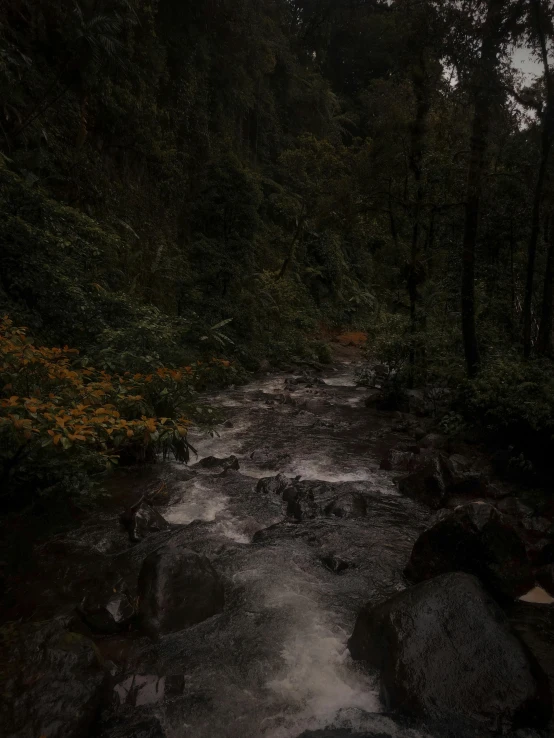 a stream running through a lush green forest, an album cover, inspired by Elsa Bleda, unsplash contest winner, sumatraism, dark overcast weather, at evening during rain, ☁🌪🌙👩🏾, flowers and waterfalls