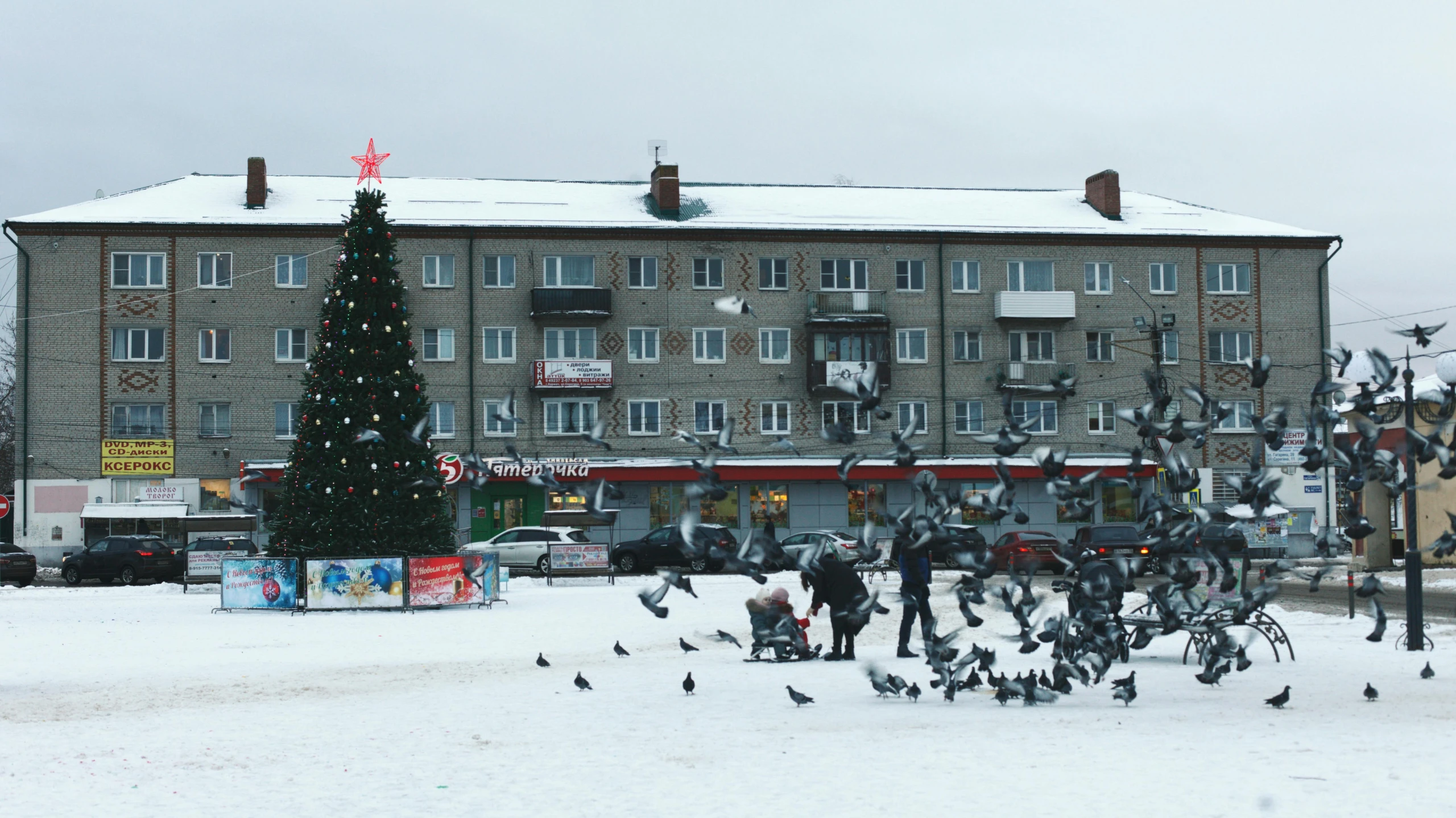 a flock of birds standing on top of a snow covered ground, by Julia Pishtar, pexels contest winner, socialist realism, tree town, lots of shops, decorated with soviet motifs, 000 — википедия