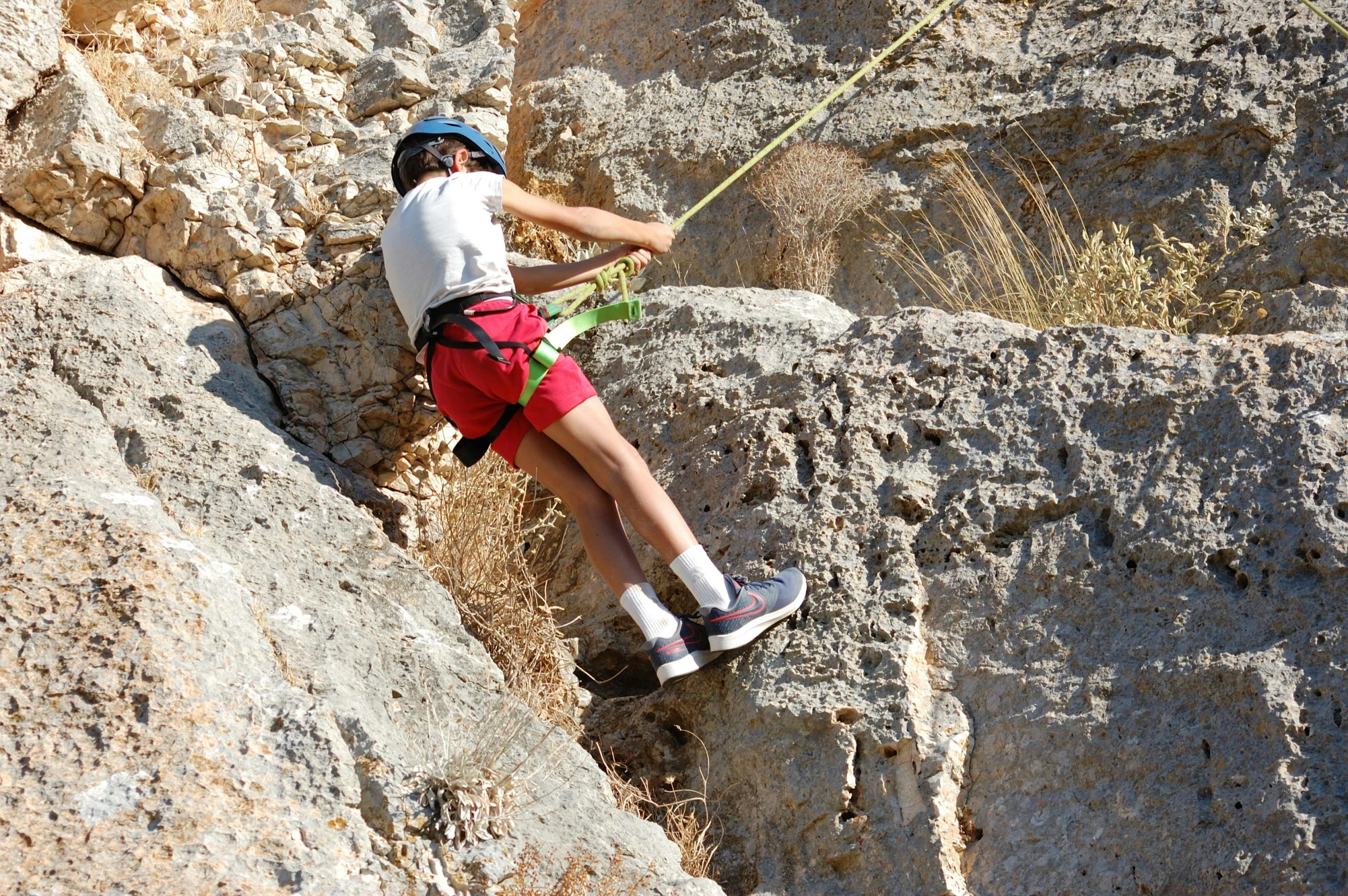 a person on a rock climbing on a rope, les nabis, avatar image, no cropping, family friendly, high resolution image