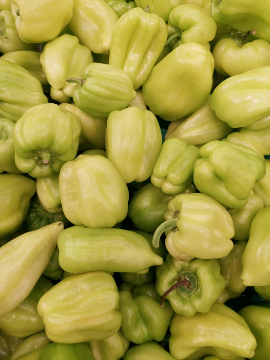 a pile of green peppers sitting on top of each other, by Adriaen Hanneman, renaissance, pale green halter top, thumbnail, slightly tanned, square nose