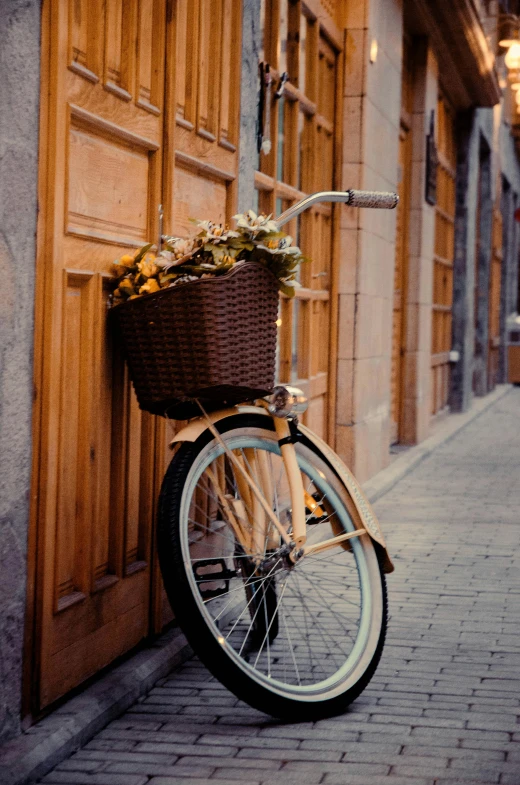a bicycle parked on the side of a building, brown flowers, profile image, sidewalk, brown color palette