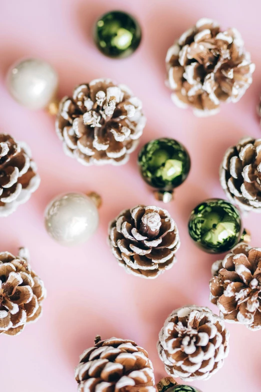 a bunch of pine cones sitting on top of a pink surface, with lots of thin ornaments, stockphoto, multiple stories, green and white