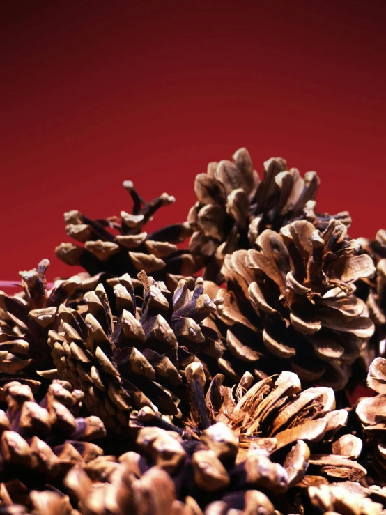 a pile of pine cones sitting on top of a table, by Carey Morris, on a red background, slide show, tastes, upclose