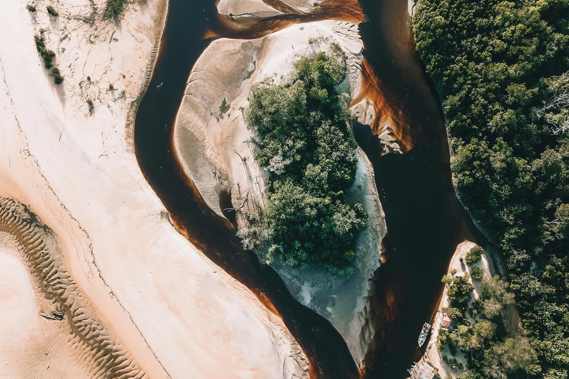 an aerial view of a river surrounded by trees, by Lee Loughridge, pexels contest winner, hurufiyya, erosion algorithm landscape, australian beach, retro stylised, structural geology