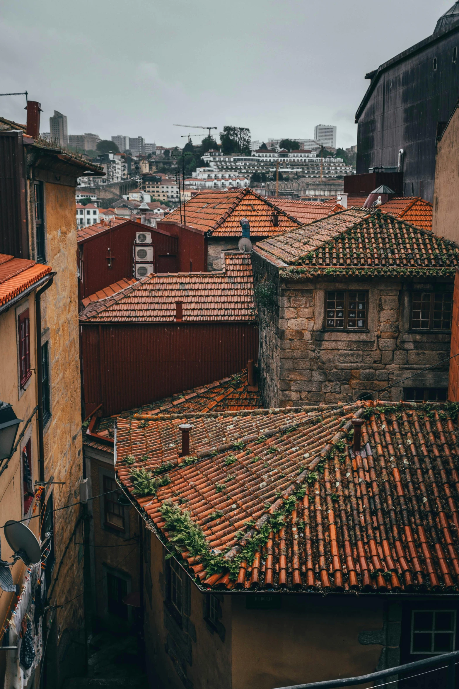 a couple of buildings that are next to each other, a picture, pexels contest winner, renaissance, tiled roofs, view from back, oranate and brooding, neighborhood