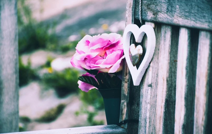 a pink rose sitting on top of a wooden bench, heart made of flowers, instagram picture, wooden decoration, over-shoulder shot