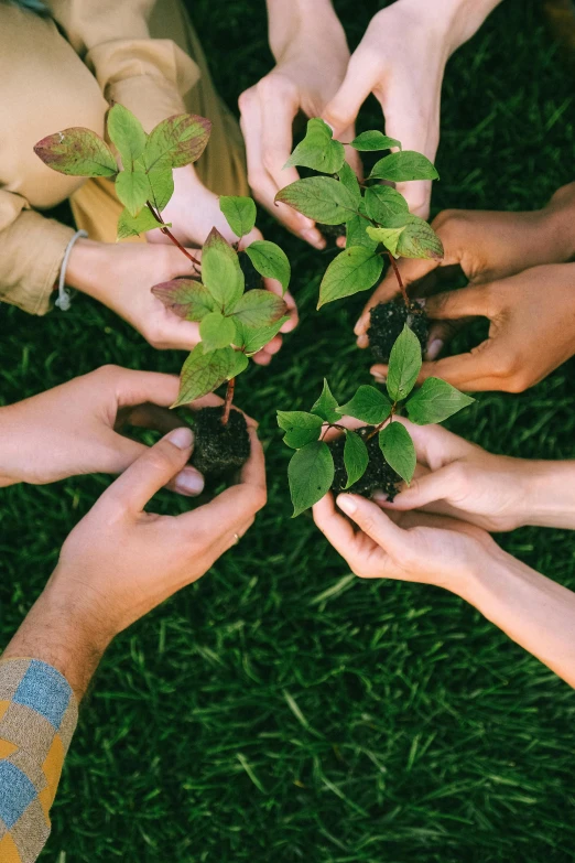 a group of people holding plants in their hands, pexels contest winner, mint leaves, avatar image, sustainable materials, 2 0 2 2 photo