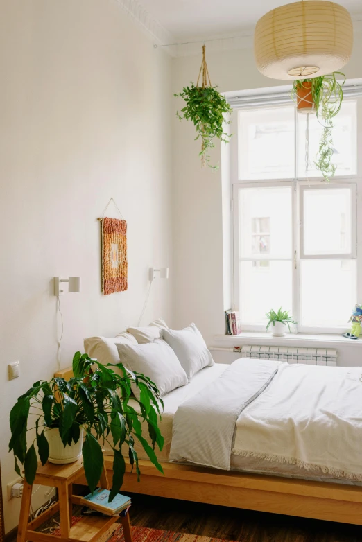 a bed sitting in a bedroom next to a window, inspired by Elsa Bleda, trending on unsplash, light and space, hanging plants, high ceiling, white background”, fancy apartment