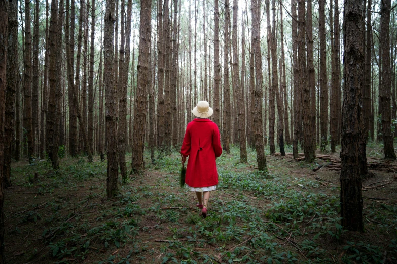 a woman in a red coat walking through a forest, by Sophie Pemberton, unsplash contest winner, process art, straw hat and overcoat, “ iron bark, wes anderson style, forest picnic