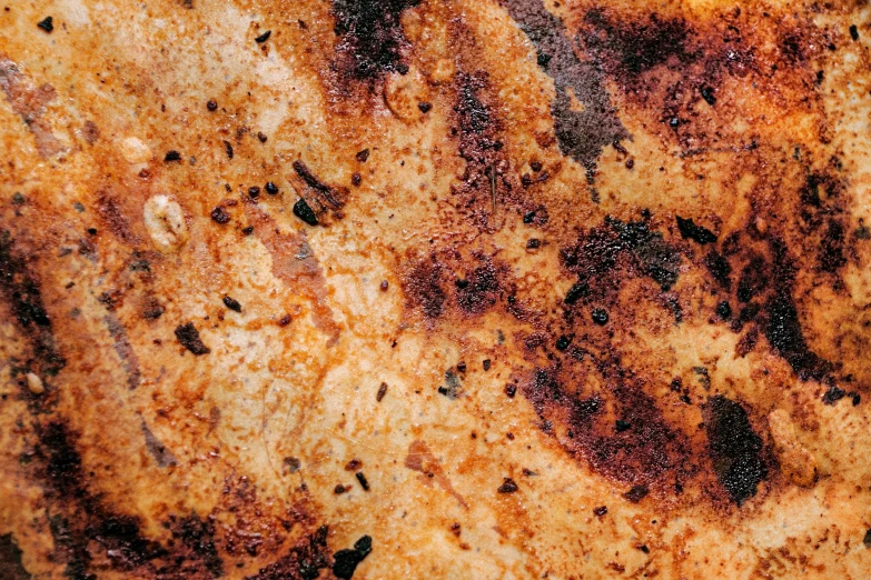 a close up of a piece of food on a plate, an album cover, by Adam Marczyński, unsplash, renaissance, texture rust, fire texture, intricate skin pattern texture, high - resolution scan