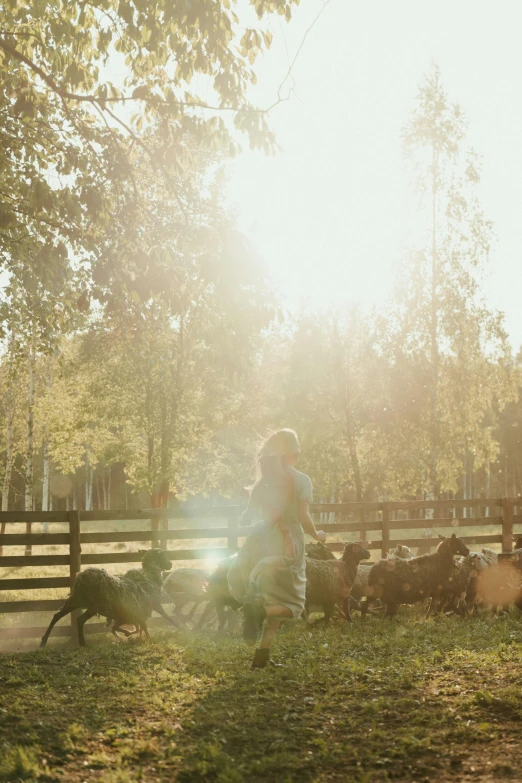 a couple of people that are standing in the grass, with dogs, full morning sun, central farm, profile image