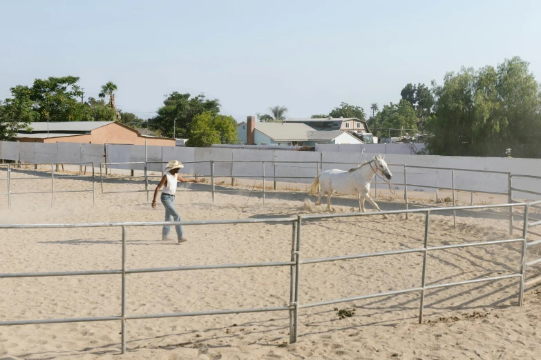 a man standing next to a white horse in a fenced in area, brian pulido, people walking around, listing image, sandy beach