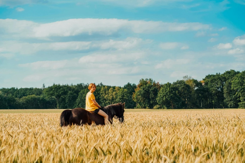 a man riding on the back of a black horse in a field, by Julia Pishtar, unsplash contest winner, wheat fields, prussia, in the style wes anderson, corduroy