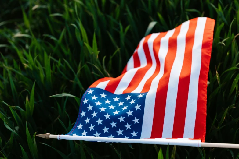 a red, white and blue american flag laying in the grass, a portrait, unsplash, background image, 🚿🗝📝