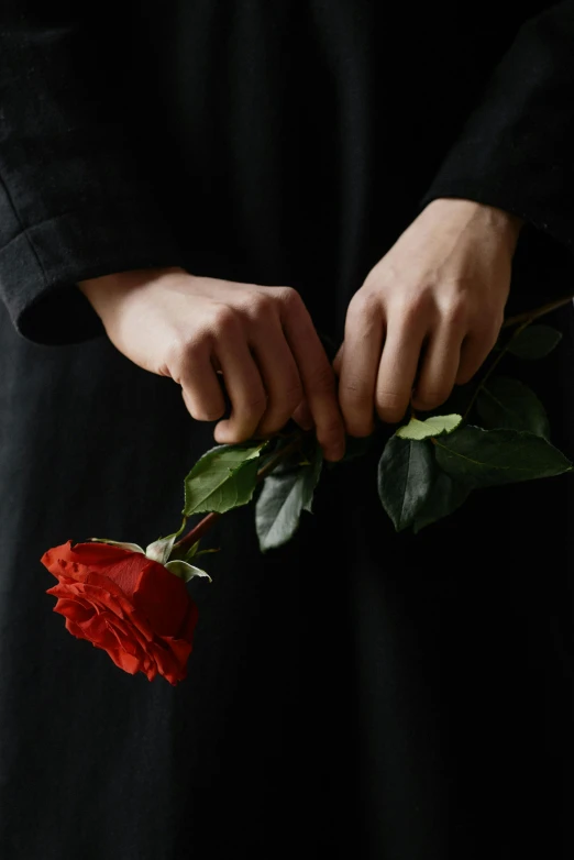 a person holding a red rose in their hands, an album cover, by irakli nadar, wearing black clothes, reaching out to each other, detail shot, dark. no text