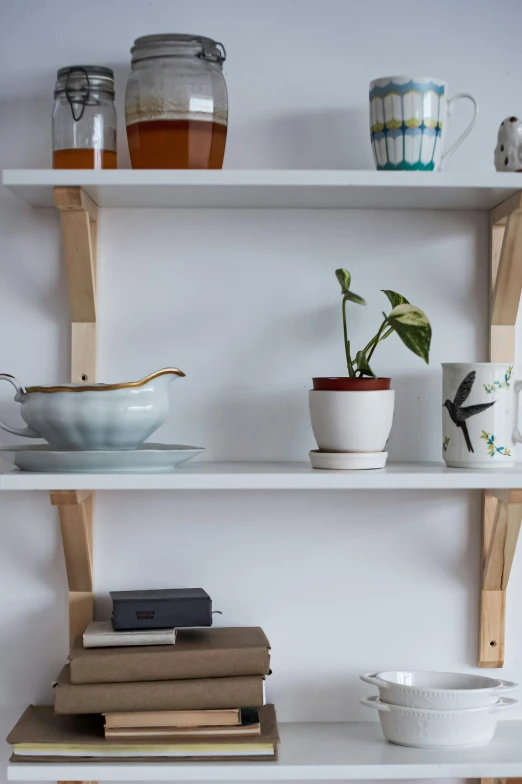 a shelf that has some books on it, inspired by Constantin Hansen, featured on reddit, minimalism, jar on a shelf, promo image, small kitchen, detail shot