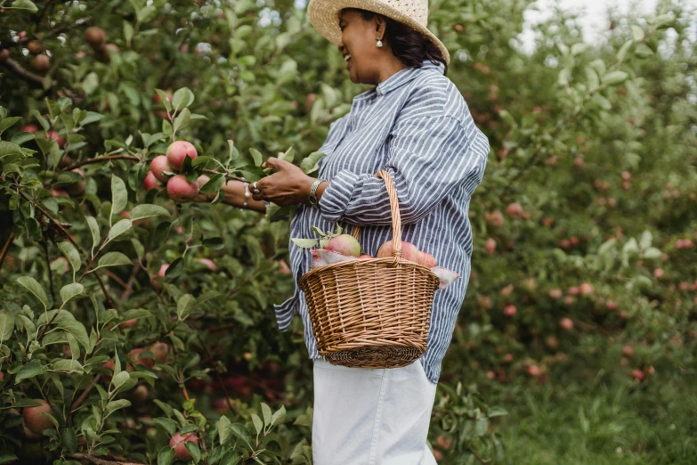 a woman in a straw hat picking apples from a tree, pexels contest winner, wearing farm clothes, profile image, white and pink cloth, striped