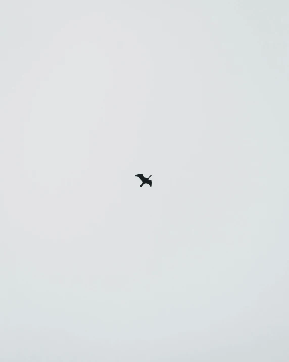 a bird that is flying in the sky, by Attila Meszlenyi, postminimalism, white space in middle, 2 0 5 6 x 2 0 5 6, medium distance shot, kai vermehr