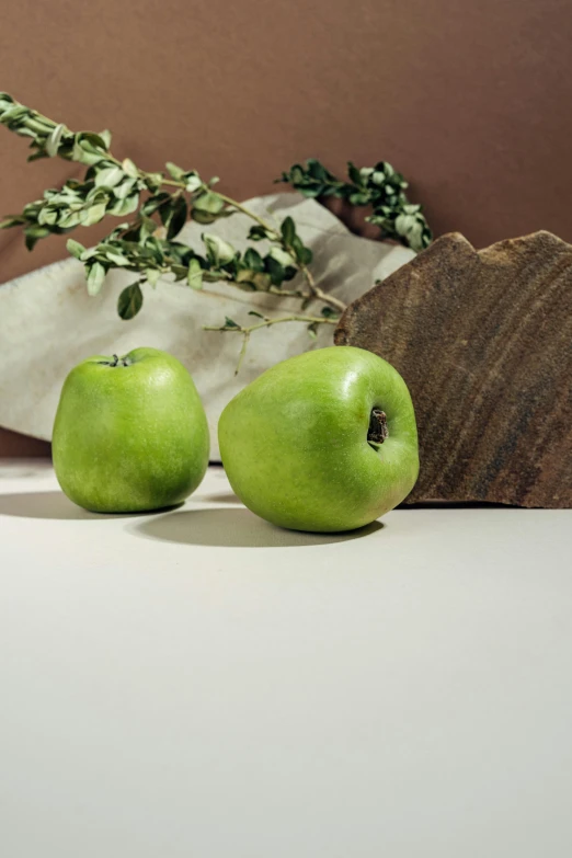 a couple of green apples sitting on top of a table, a still life, inspired by Art Green, unsplash, boulders, posed in profile, sustainable materials, award - winning crisp details